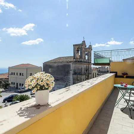 Belvedere 3
